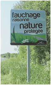 Fauchage-raisonn%C3%A9-.png